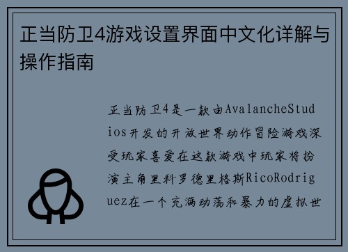 正当防卫4游戏设置界面中文化详解与操作指南